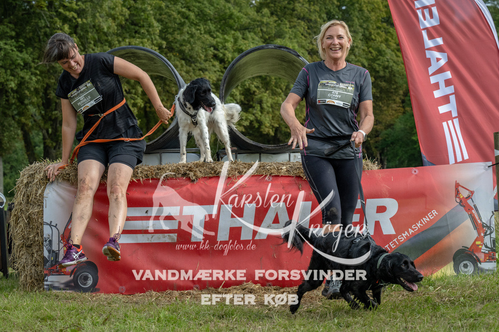 1141_ZZ90187 | kk-dogfotos