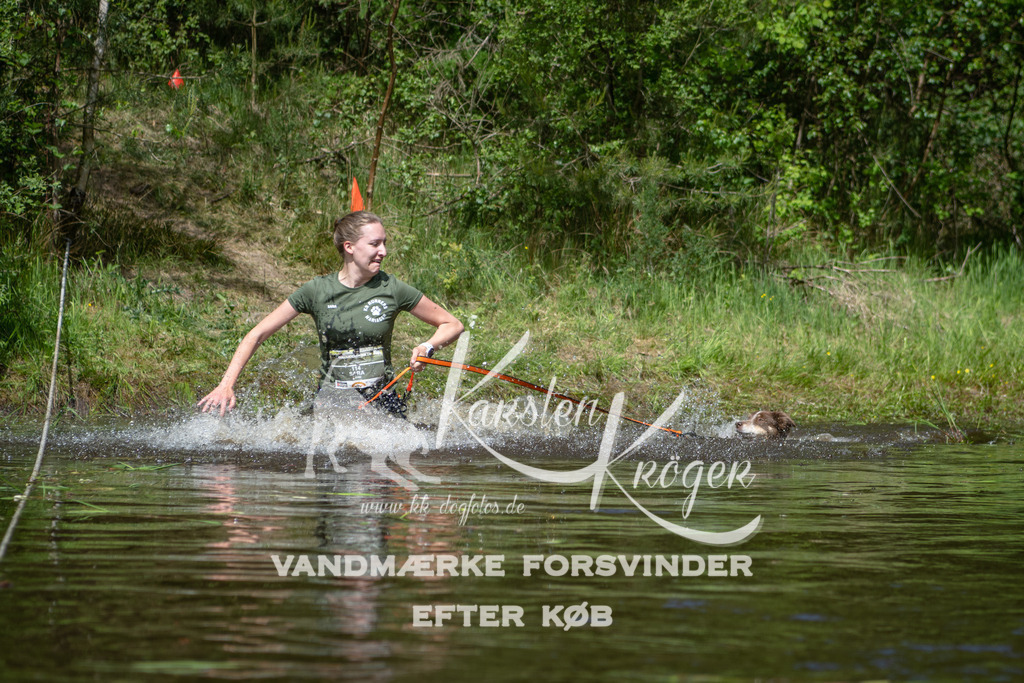 1202DKK991586 | kk-dogfotos
