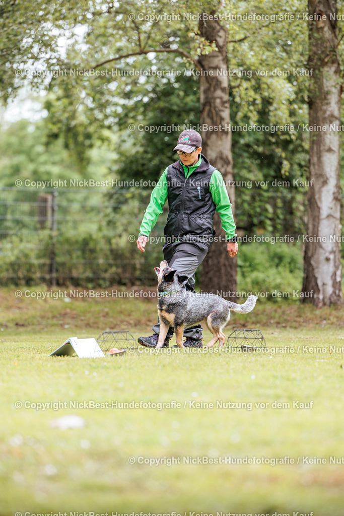 RO-Blumenthal-2026-Nickbest-Hundefotografie-1794 | Dein Hund! Dein Moment! Deine Erinnerungen! Hundefotografie in Bremen Blumenthal. Ich fange die besonderen Momente deines Vierbeiners ein – ob Indoor mit Blitzanlage oder in der freien Natur. Sicher dir dein Moment und dein Termin für eure Erinnerungen.