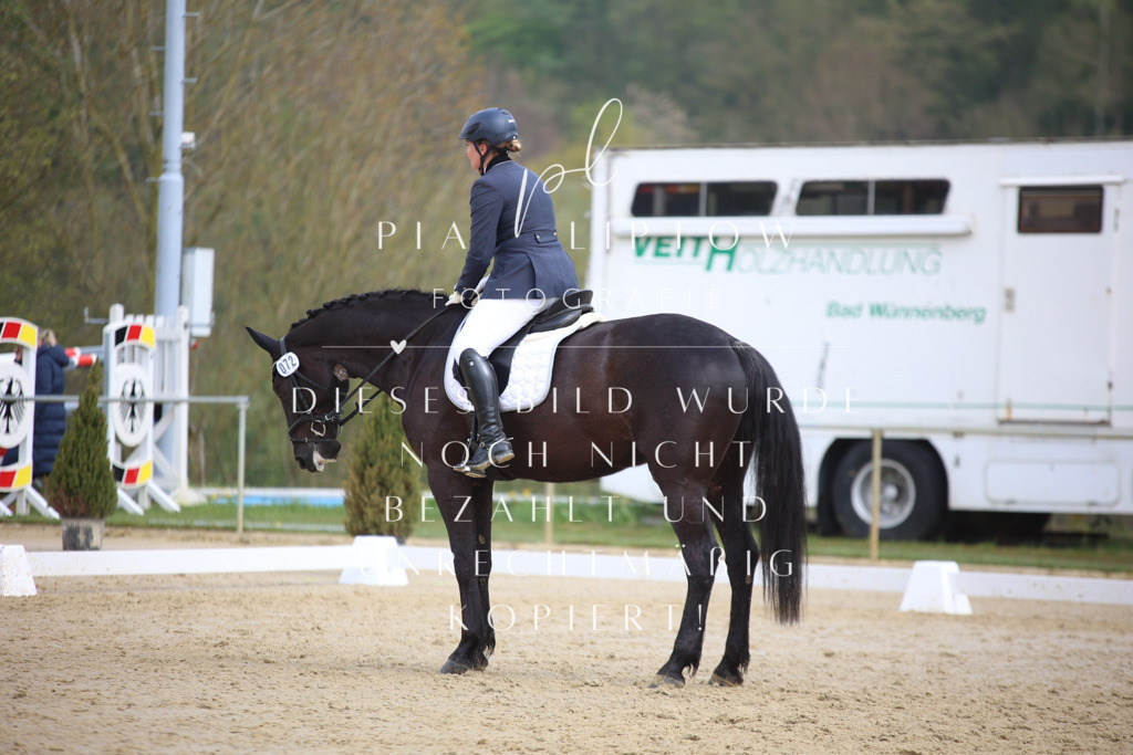 IMGT5801 | pl-fotografie