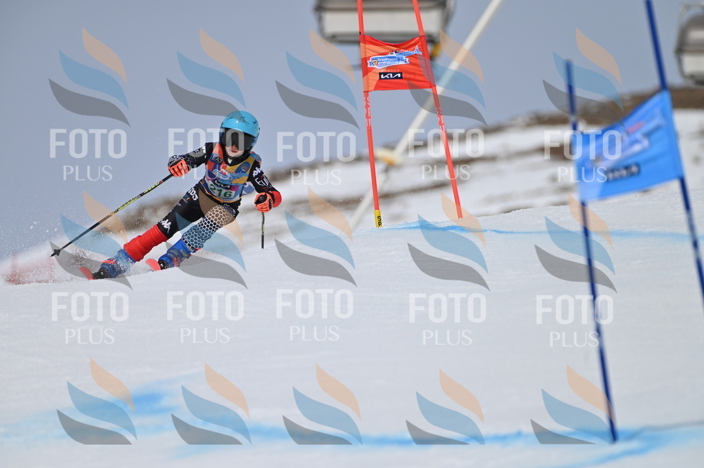 BGV_4192 | holidayphoto