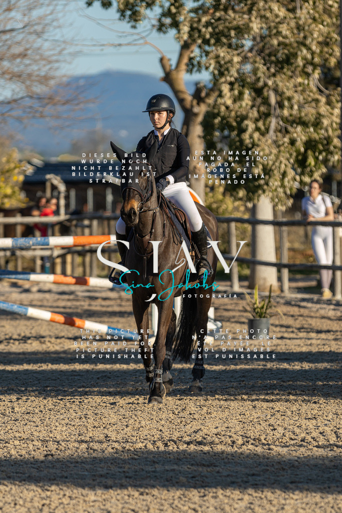 IMG_2382 | s-jay-photography - Realisiert mit Pictrs.com