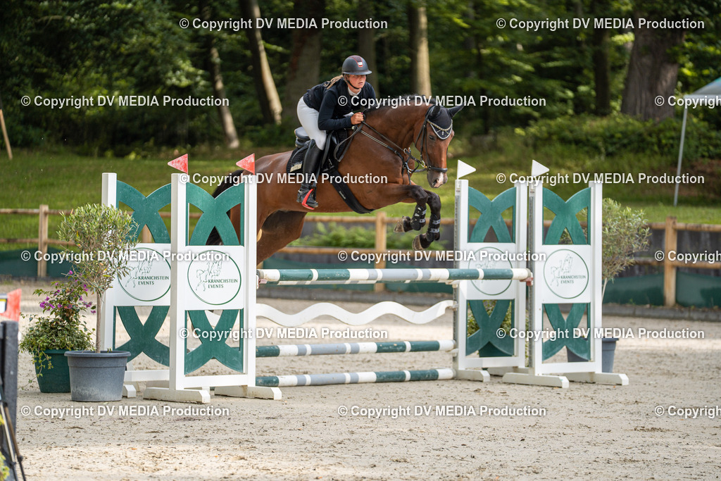 Hessische Tag 1-113 | dv-media-shop - Realisiert mit Pictrs.com