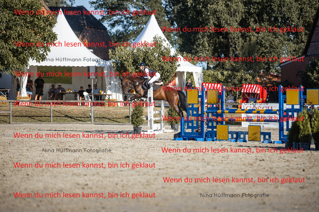 BK1A7794 | Turnierbilder Turnierfotos Nina Hüffmann Turnierfotografie Pferdefotografie Tierzeichnung Haustierzeichnung Pferdezeichnung Hundezeichnung Videograf  - Realisiert mit Pictrs.com