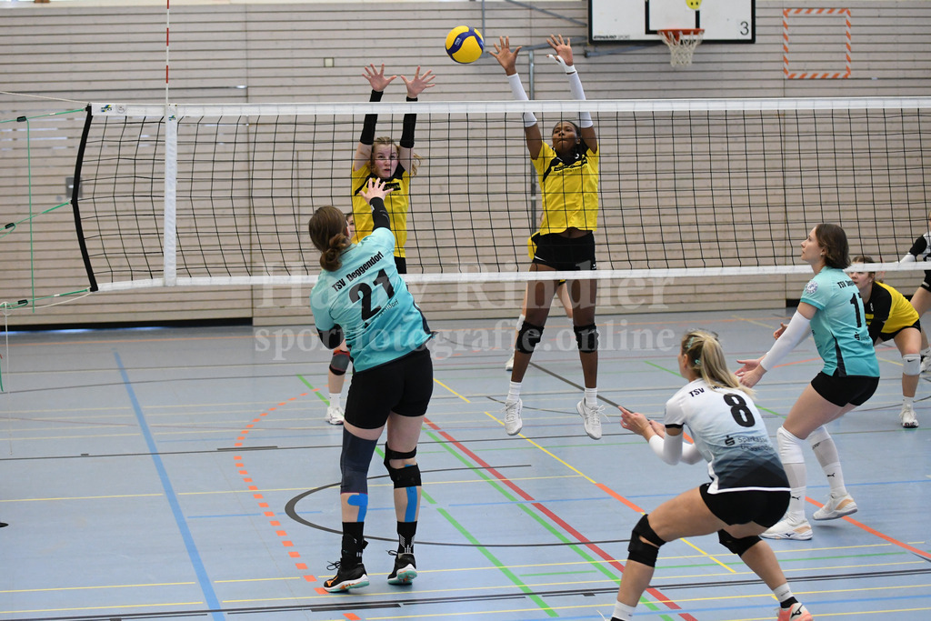 TSV Deggendorf Damen  : FC Ruderting | TSV Deggendorf Damen Volleyball - Realisiert mit Pictrs.com