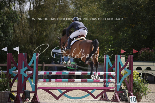 1J2A6106Andreas Erni_ D_Olympic L.A. Z_ Kn349_ Havekost | Foto- und Videografie für alles rund ums Pferd. Hochwertige Bilder und Videos vom Spring- und Dressurreiten, Voltigieren & mehr. Jetzt aktuelle Veranstaltungen und Preise im Shop ansehen. - Realisiert mit Pictrs.com