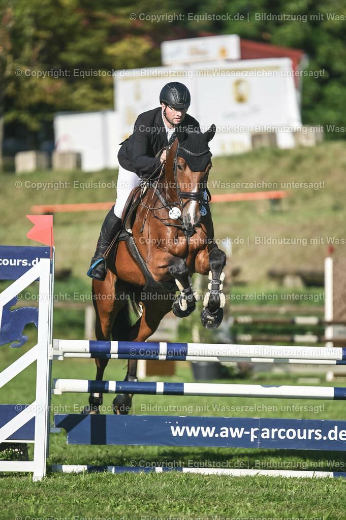 20230908_14-15_Springpferde-A_0036 | equistock