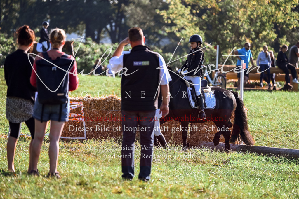 DSC_0382 | Pferde- und Turnierfotografie in Westsachsen. Pferdeportraits, Auftragszeichnungen und intuitive Kunst.