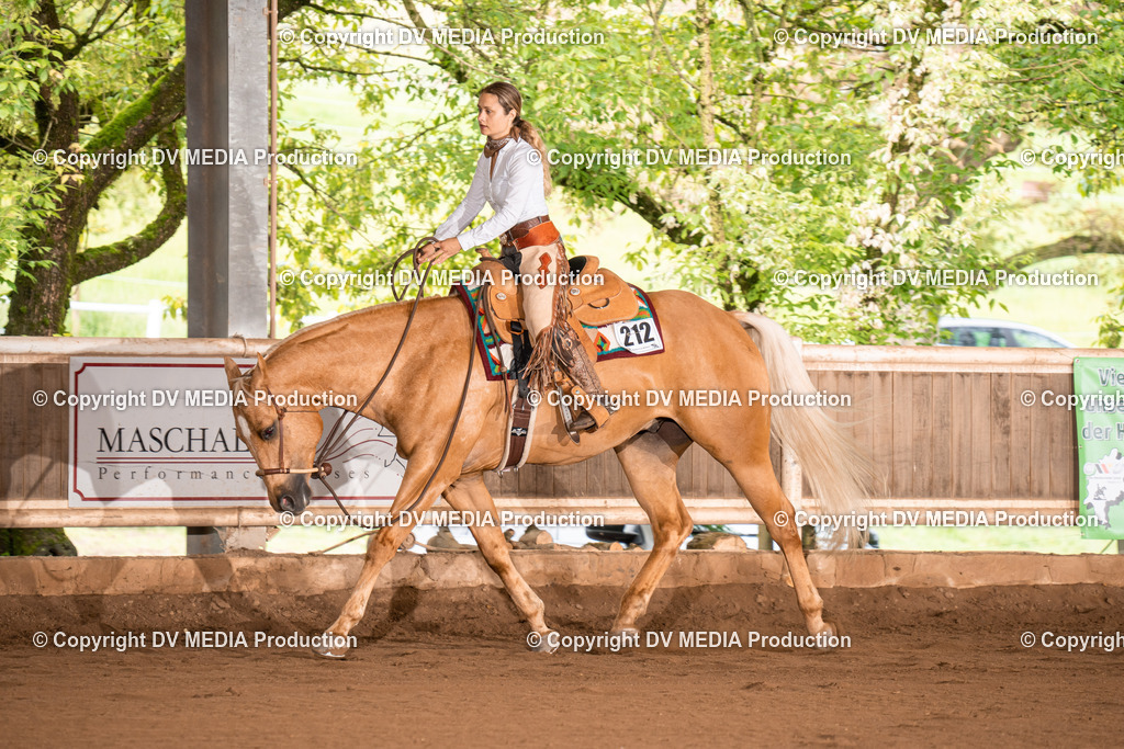 Erbach Tag 4-800 | dv-media-shop - Realisiert mit Pictrs.com