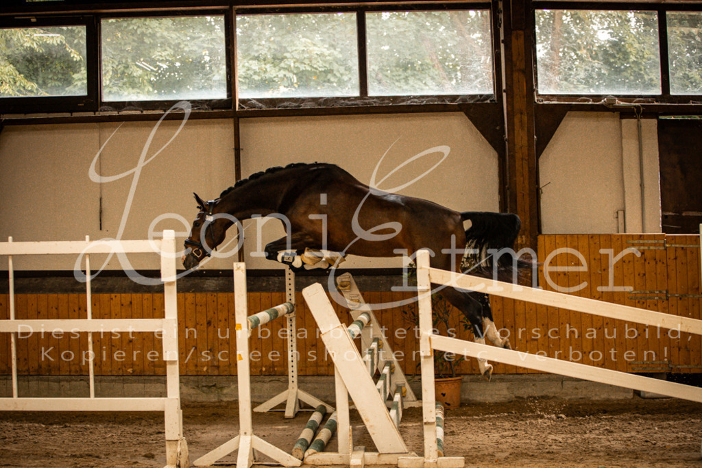 2FS_L00107 | Leoni Ertmer Photography - Realisiert mit Pictrs.com