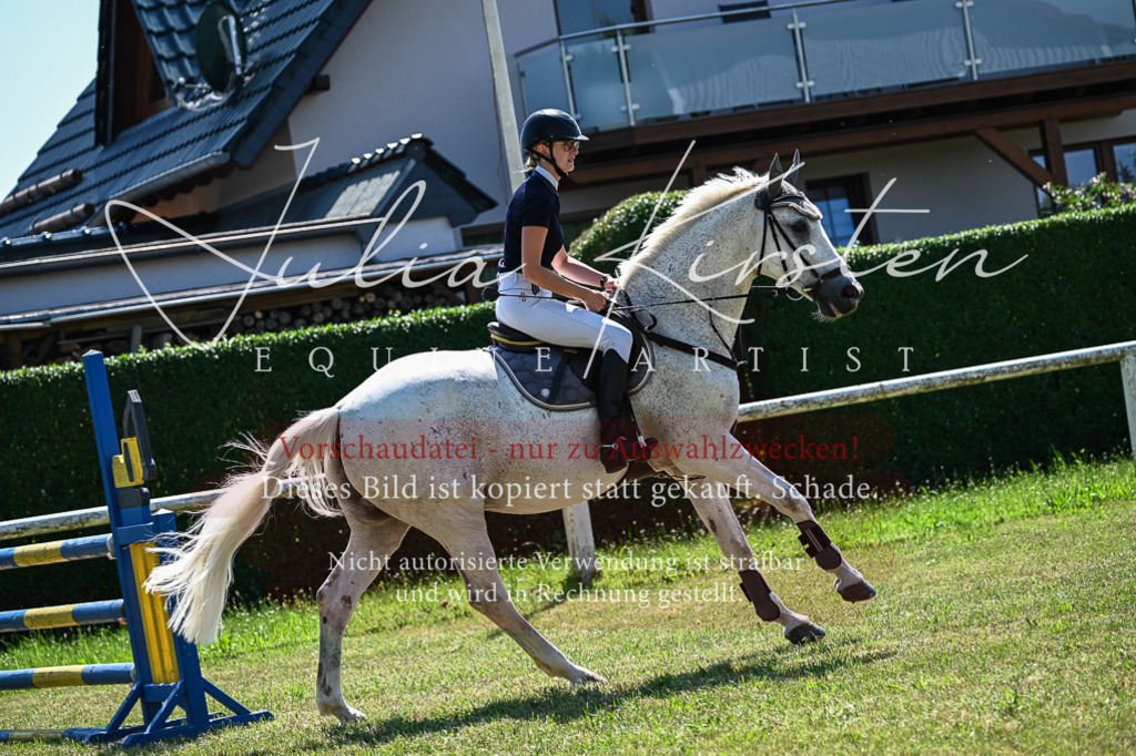 DSC_1081 | Pferde- und Turnierfotografie in Westsachsen. Pferdeportraits, Auftragszeichnungen und intuitive Kunst.