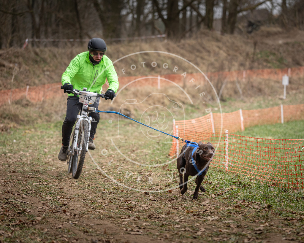 Pfotenfotografie_DV3A6298 | Hundefotografie, Tierfotograf, Pfotenfotografie, Fotoshooting Hund, Hunde Portrait, Hundesport, Hundeportraits, Heideshooting, Hunde, Sportfotograf, Hundefotograf, Turnierhundsport, THS,  - Realisiert mit Pictrs.com