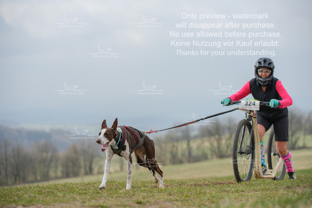 ScooterSA-131 | stephaniefillaphotographie - Realisiert mit Pictrs.com