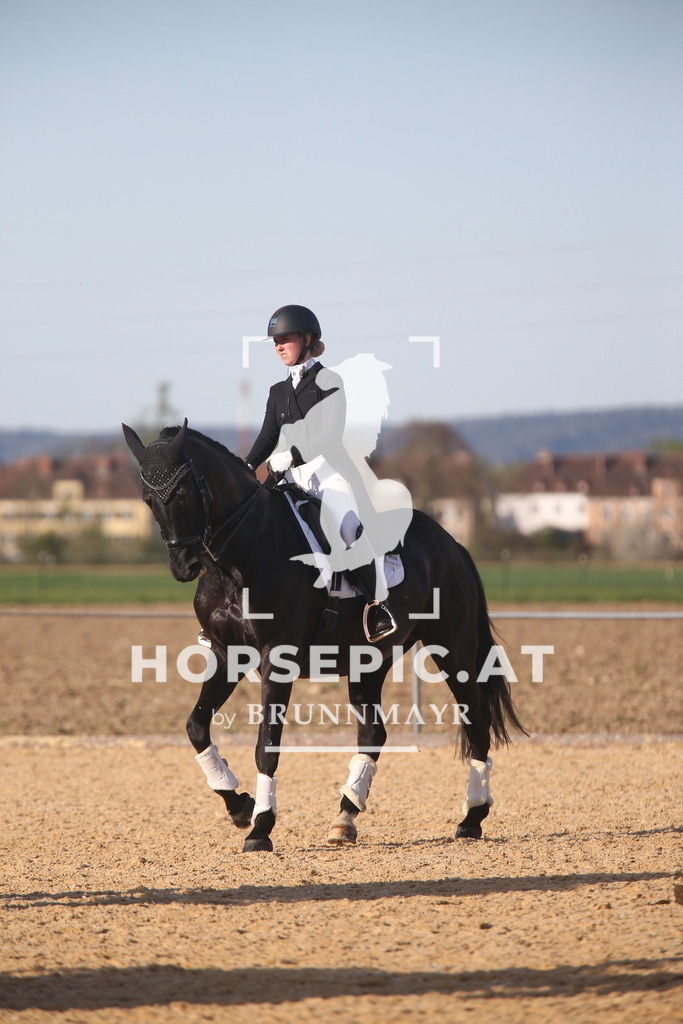 AS8V6566 | Willkommen bei Brunnmayr - Design & Fotografie – Ihrem Spezialisten für Reitturniere und Pferdeveranstaltungen in Oberösterreich, Salzburg und Bayern! Seit über 17 Jahren sind wir leidenschaftlich dabei.