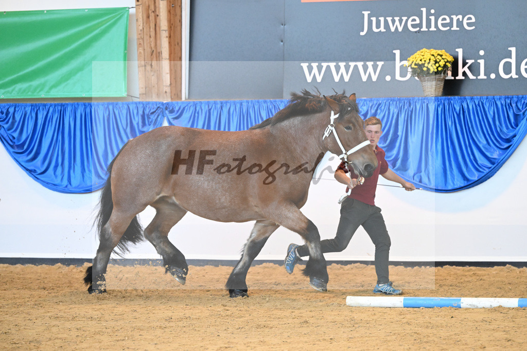 Kat-Nr. 11 Anstaendige_Roemmer_53220982 | hf-fotografie - Realizzato con Pictrs.com