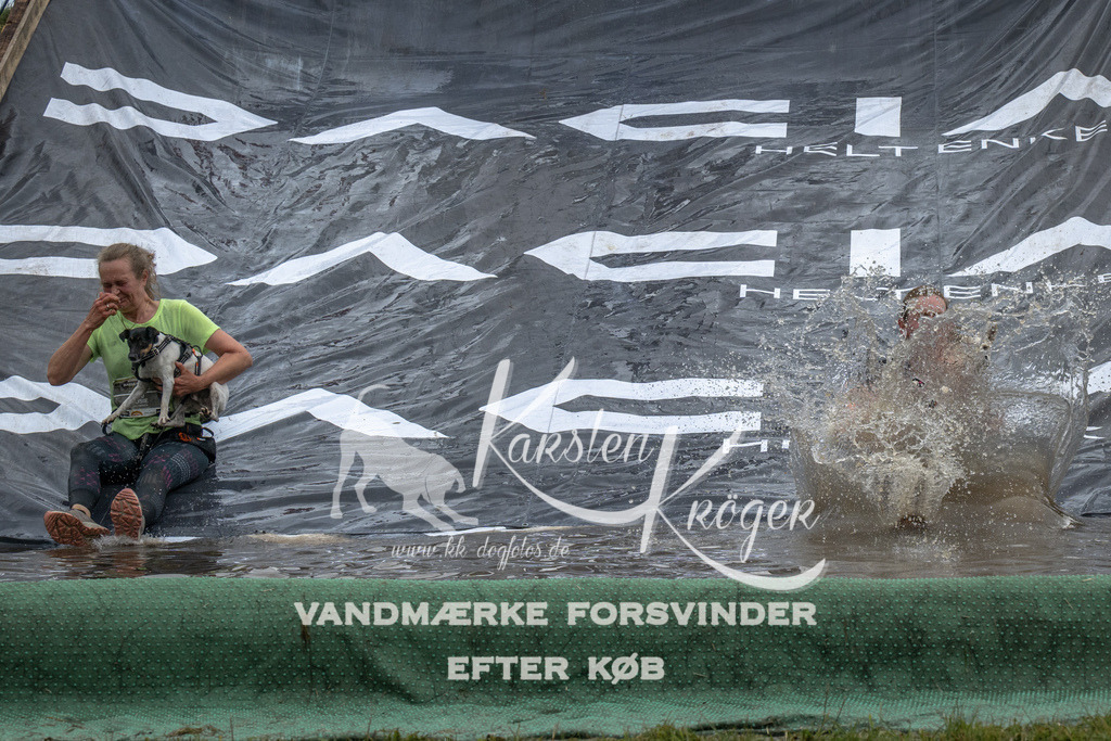 1522_ZZ92945 | kk-dogfotos