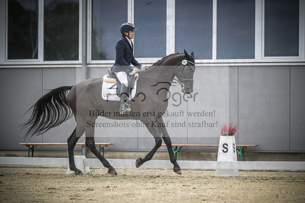 DOS_0307 | Entdecke hochwertige Reitturnierfotos von Foto Oger. Professionell, emotional und authentisch – jetzt Lieblingsmomente im Shop bestellen.Deutschlandweite Turnierfotografie. - Realisiert mit Pictrs.com