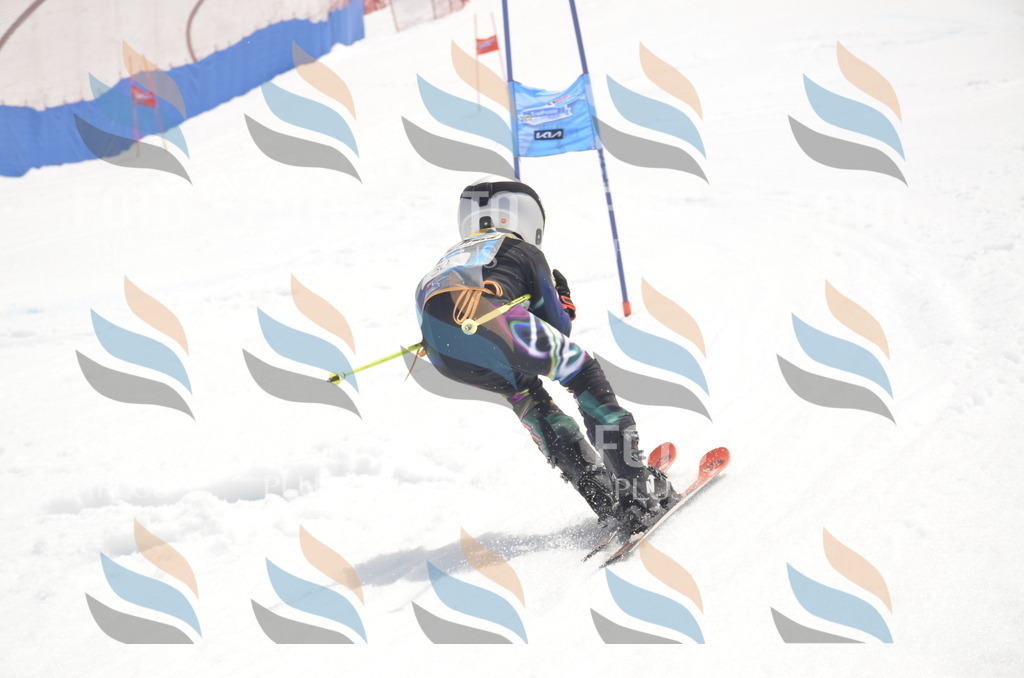 _ELE8920 | holidayphoto