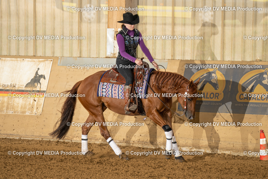 LAU01366 | dv-media-shop - Realisiert mit Pictrs.com