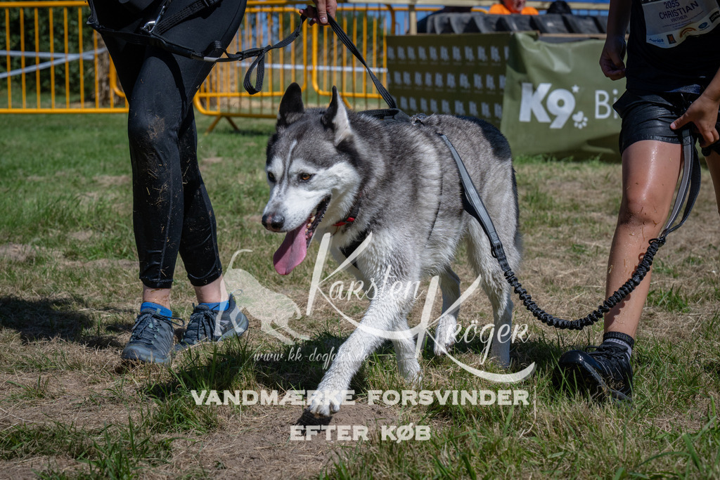 1232_ZZ95617 | kk-dogfotos