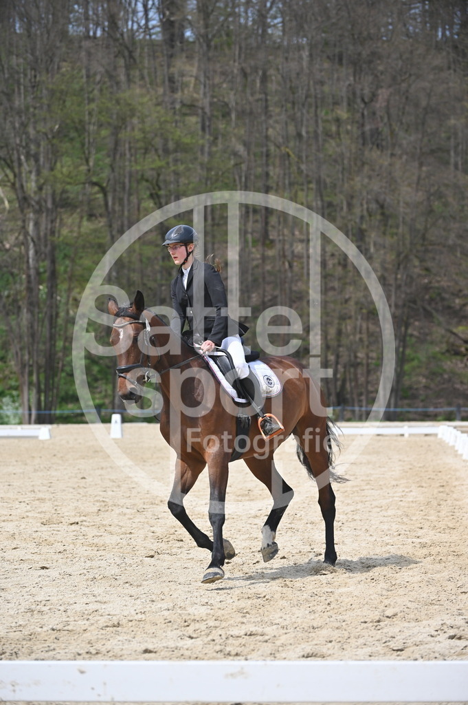 DSC_3425 | sattelsport - Realisiert mit Pictrs.com