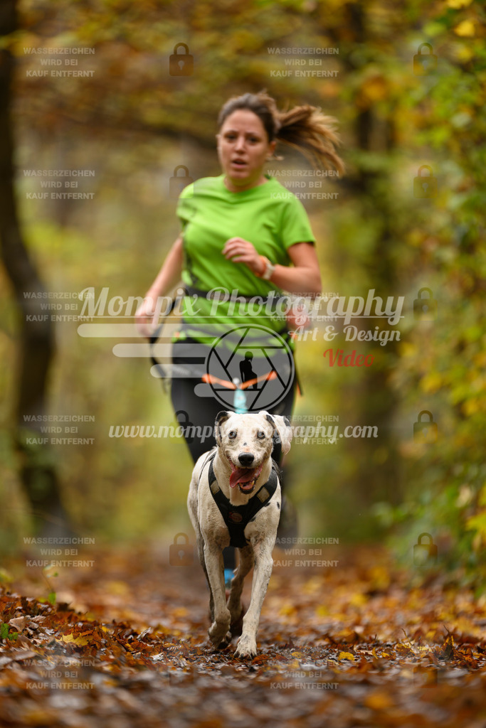 MompixPhotography_CD7S_DI_CCL-63 | mompixphotography