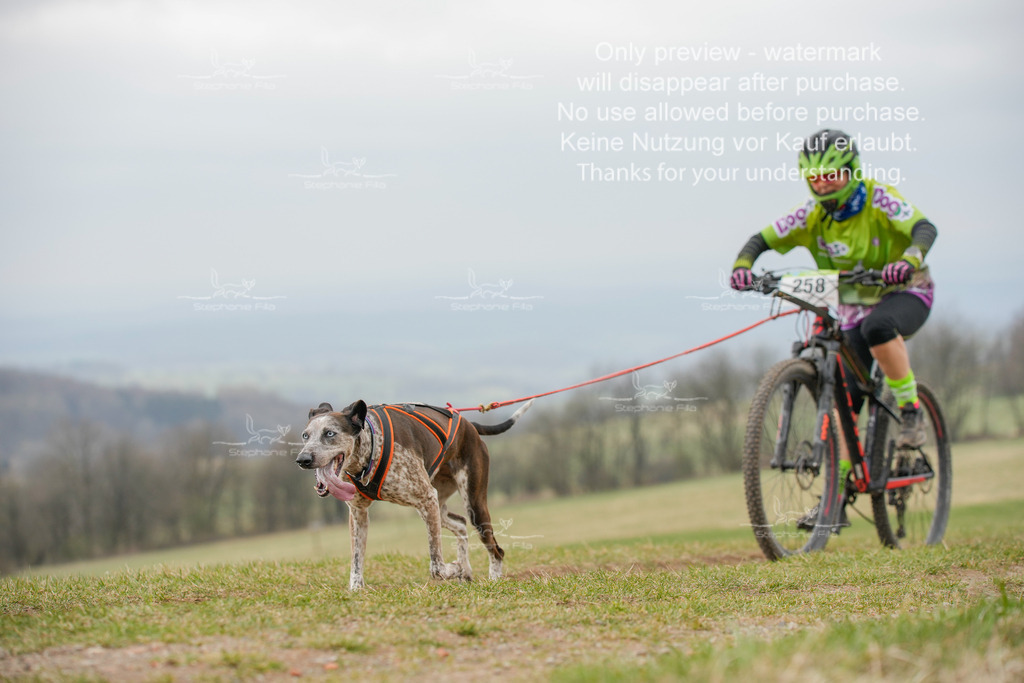 BikeSA-339 | stephaniefillaphotographie - Realisiert mit Pictrs.com