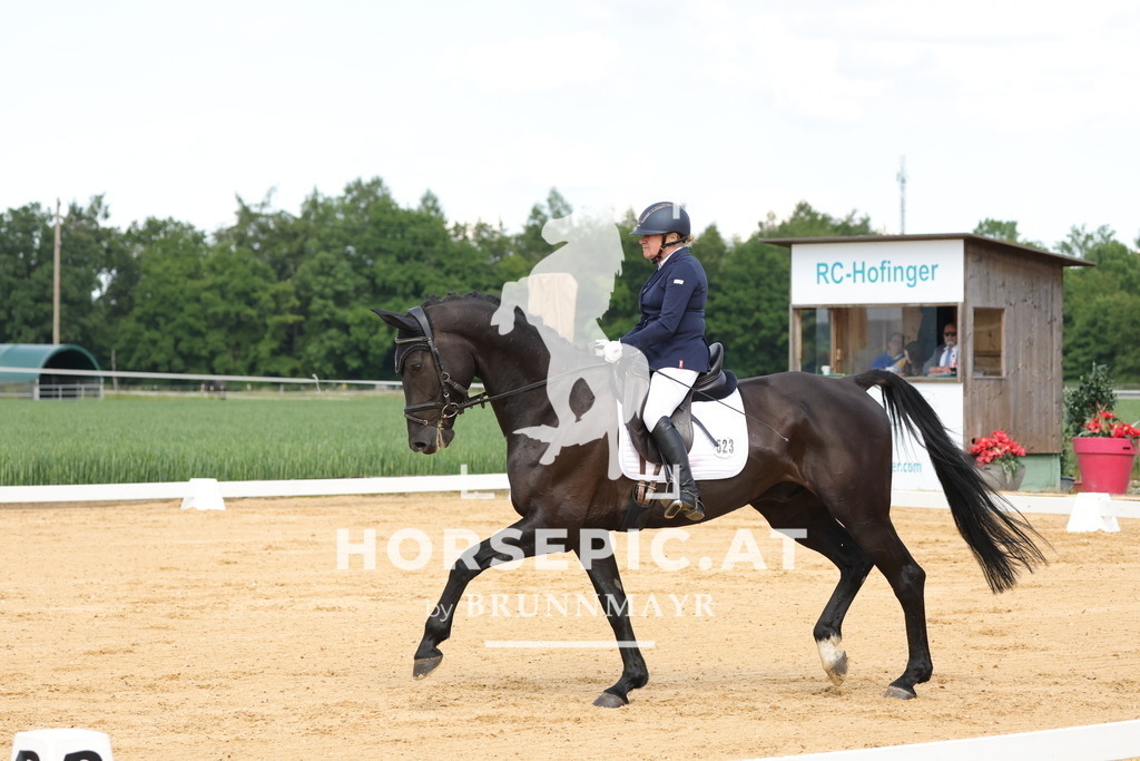0P6A9080 | Willkommen bei Brunnmayr - Design & Fotografie – Ihrem Spezialisten für Reitturniere und Pferdeveranstaltungen in Oberösterreich, Salzburg und Bayern! Seit über 17 Jahren sind wir leidenschaftlich dabei.