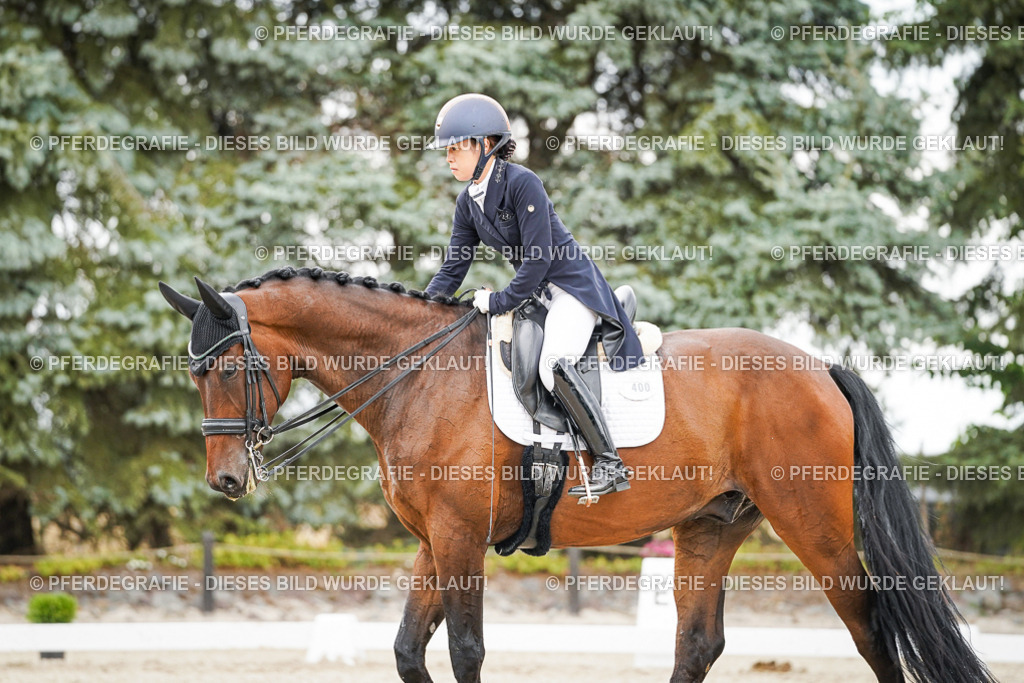 DSC05449 | Pferdegrafie