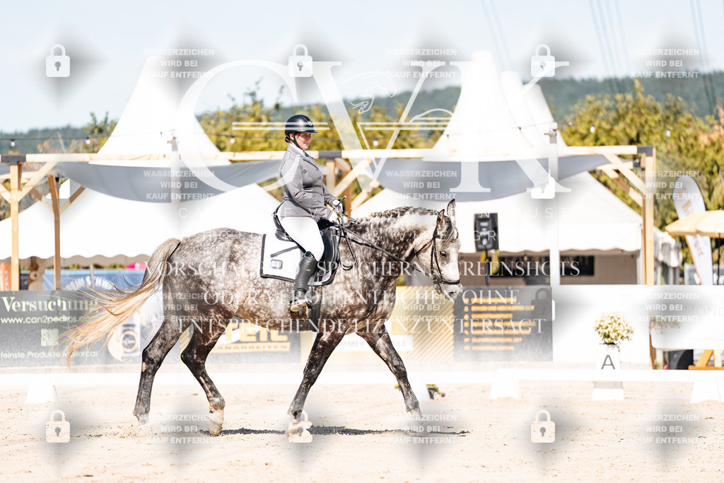 CK909078 | Turnierfotografie Pferdefotografie Trier Rheinland-Pfalz Pferdesport Reitsport Tierfotografie Sportfotografie Pferdevideo Pferdevideografie Equestrianvideography equestrianphotography  - Realisiert mit Pictrs.com