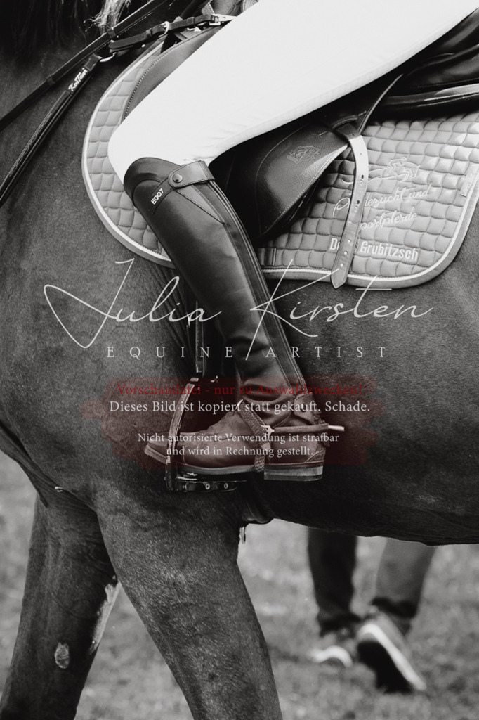 DSC_0613 | Pferde- und Turnierfotografie in Westsachsen. Pferdeportraits, Auftragszeichnungen und intuitive Kunst.