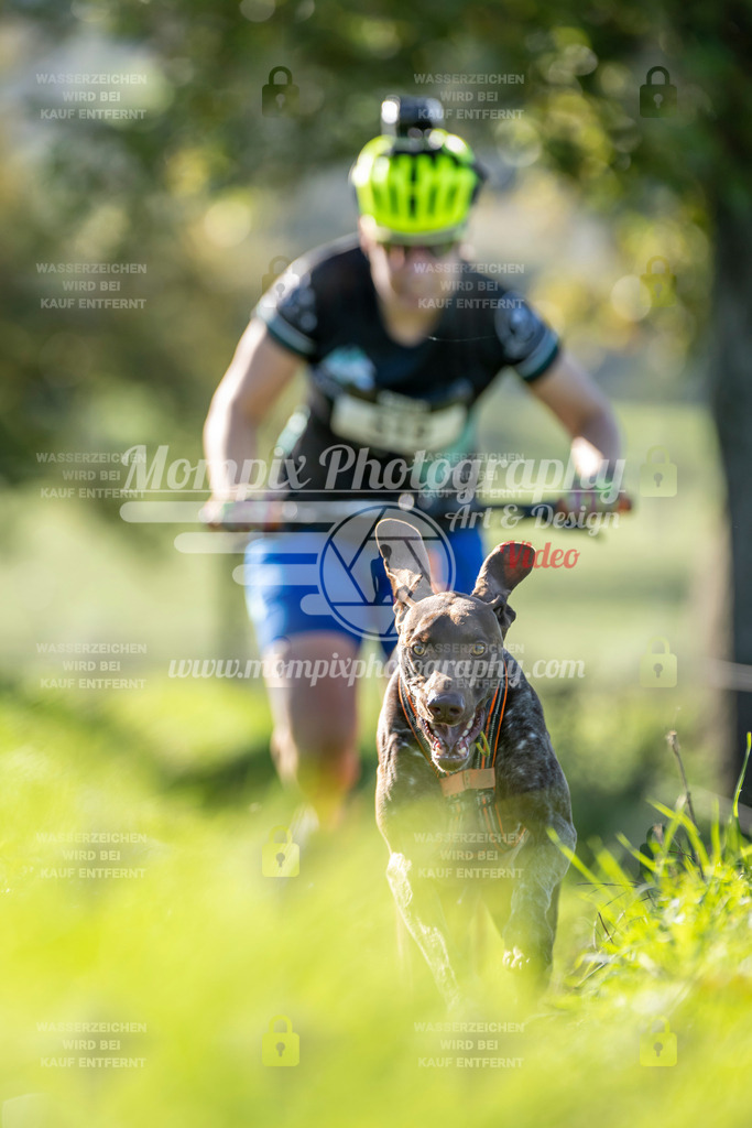 MompixPhotography_20TSB_E3_DS1-24 | PayLife