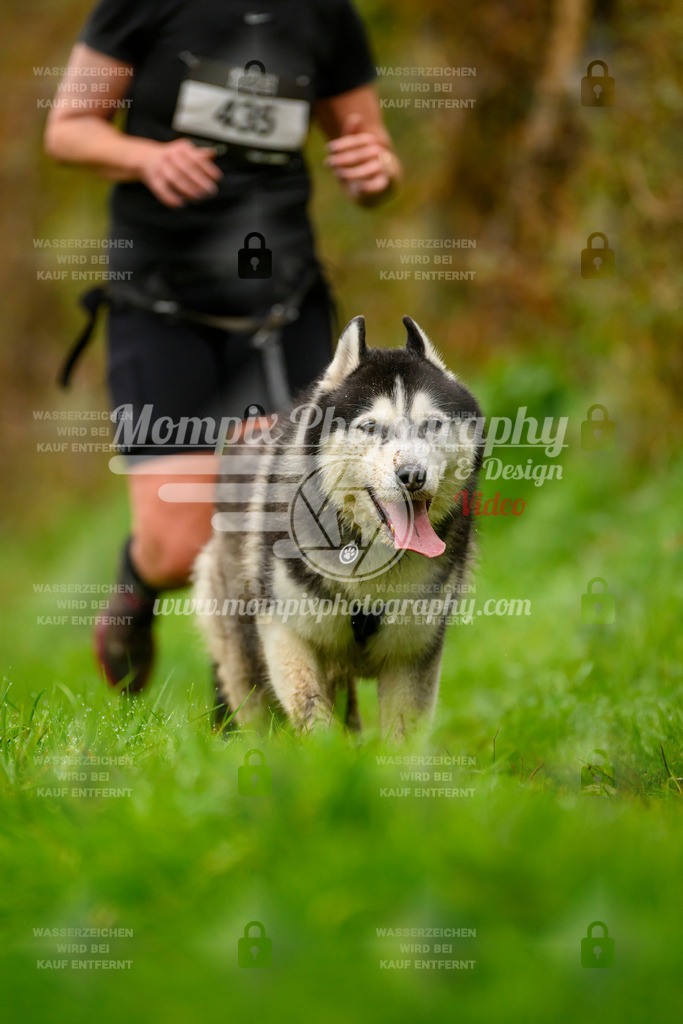 MompixPhotography_20TSB_E8_Bike-20 | PayLife