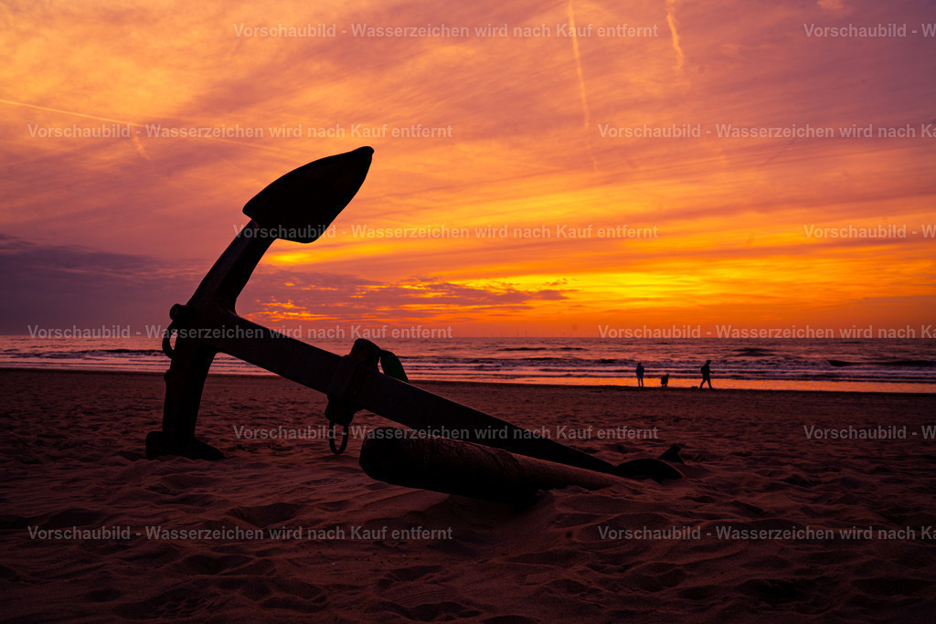 DSC05260-Enhanced-NR-2 | marcuslinek