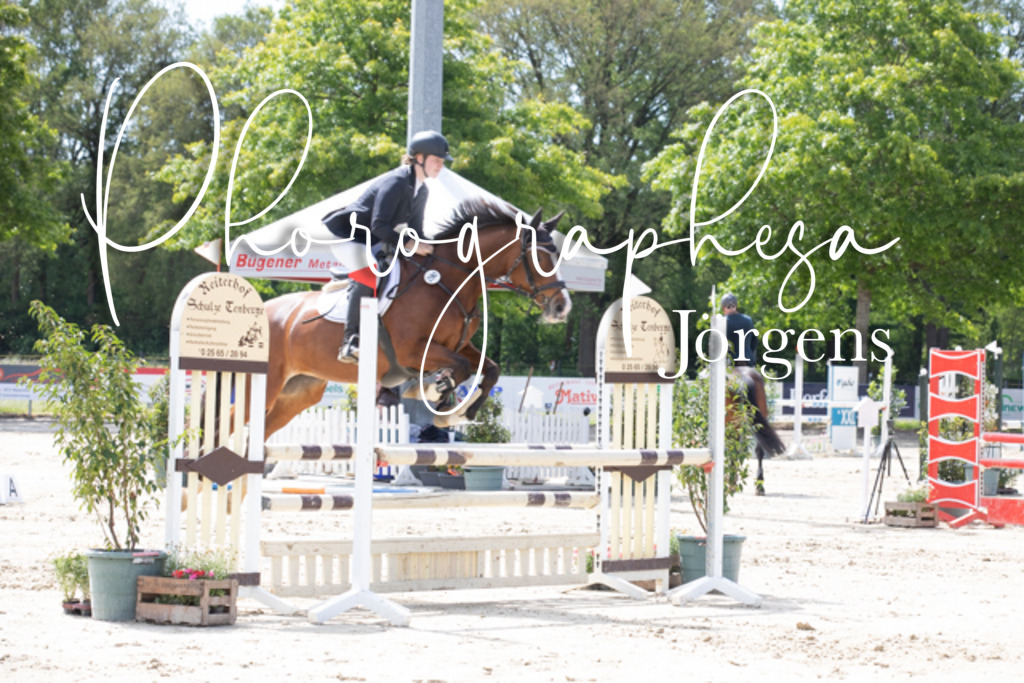 IMG_4037 | photographesa-joergens - Realisiert mit Pictrs.com