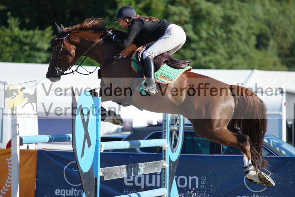 DSC09193 | equestrian-live-com