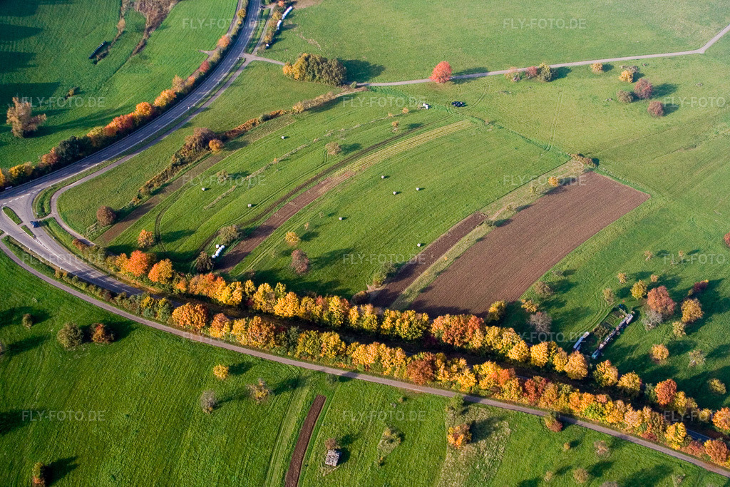 Luftbild: Herbstlich gefärbte Alleebäume an der Schluttenbacher Straße im Ortsteil Schöllbronn in Ettlingen im Bundesland Baden-Württemberg in Deutschland. Foto: IMG_14069.jpg vom 11.10.2008 durch Werner Riehm/FLY-FOTO.de
