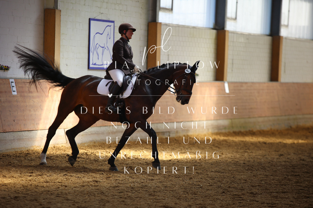 IMGT7196 | pl-fotografie