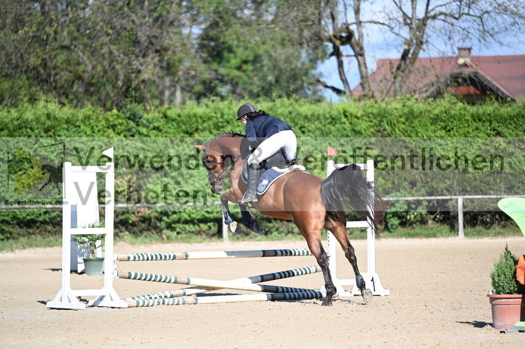 DSC_7958 | equestrian-live-com