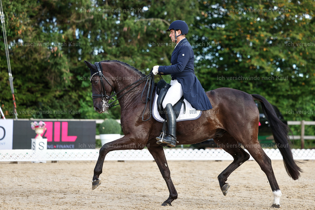 13-058-S___ -StoibPH-7006 | working equitationturnier fotograf videograf stoibphotography marixx film working equitation deutschland reitsport turnierfotografie eventfotografie equestrian events