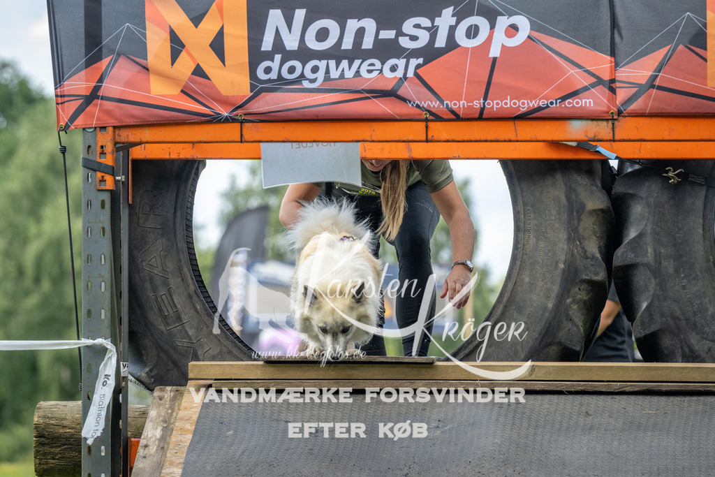 1547_ZZ94117 | kk-dogfotos