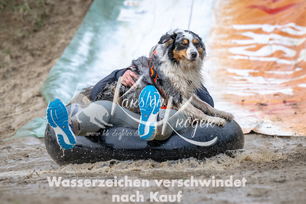 1535_ZZ94934 | kk-dogfotos