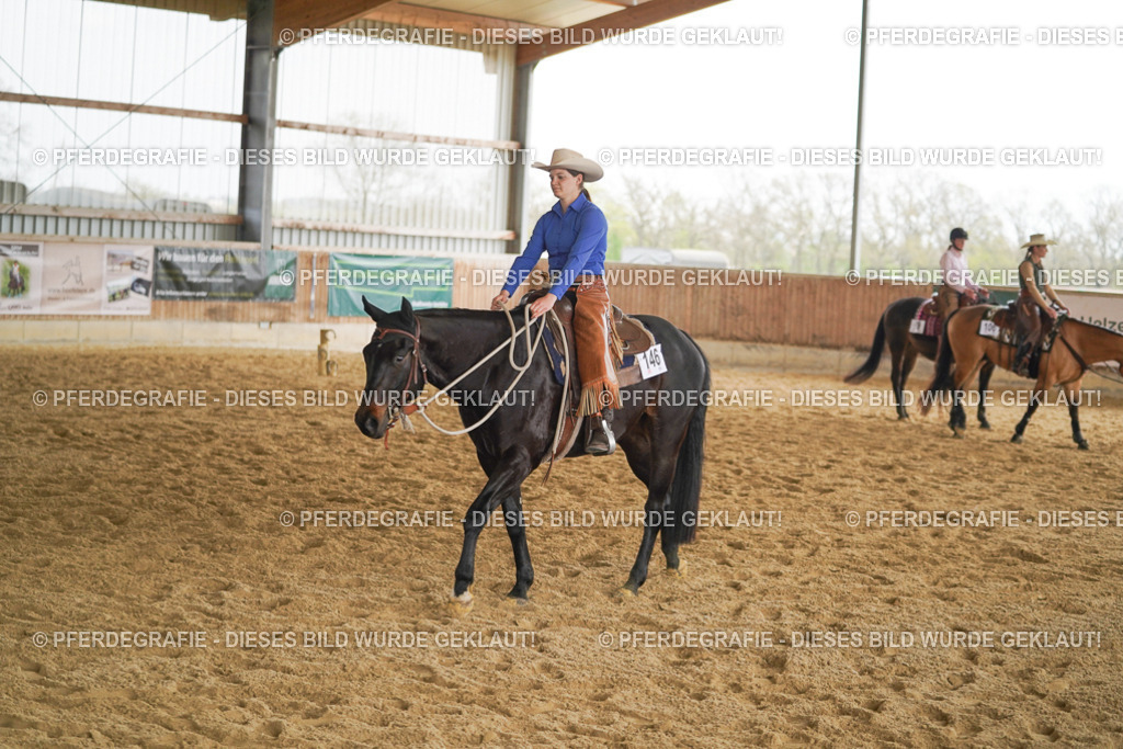 DSC05255 | Pferdegrafie