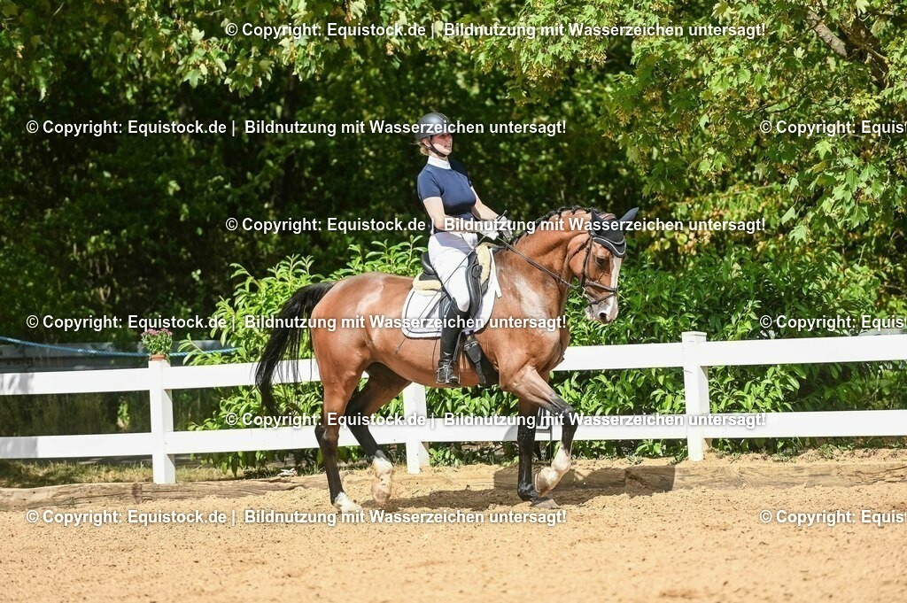 20230715_02_Dressurreiterprüfung Kl.L_0325 | equistock