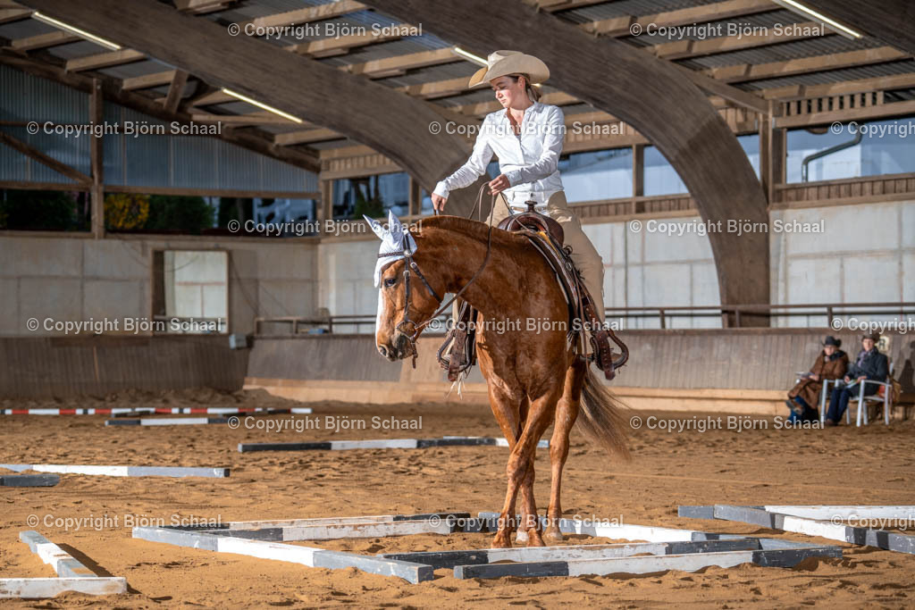 AQS04160 | BS-foto