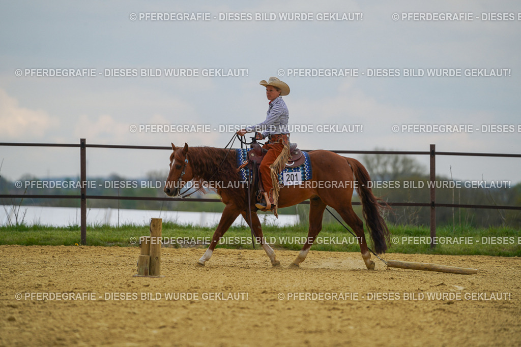 DSC07776 | Pferdegrafie