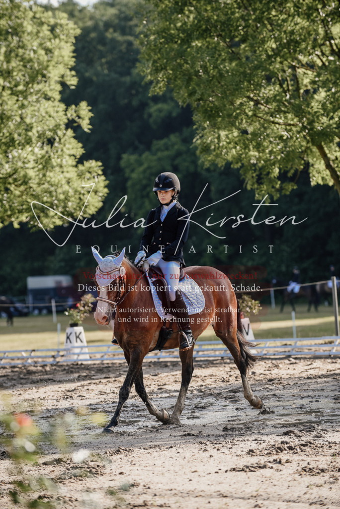 DSC_7805 | Pferde- und Turnierfotografie in Westsachsen. Pferdeportraits, Auftragszeichnungen und intuitive Kunst.