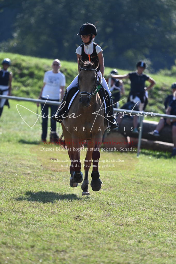 DSC_5393 | Pferde- und Turnierfotografie in Westsachsen. Pferdeportraits, Auftragszeichnungen und intuitive Kunst.