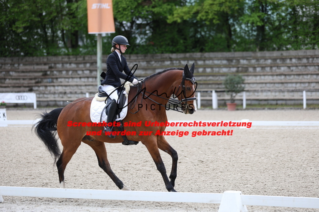 A40A0719 | lmwpictures - Realisiert mit Pictrs.com