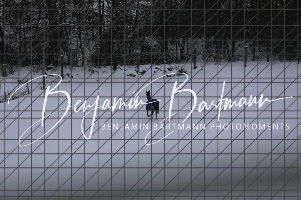 AZ2A3432 | Benjamin Bartmann Photomoments